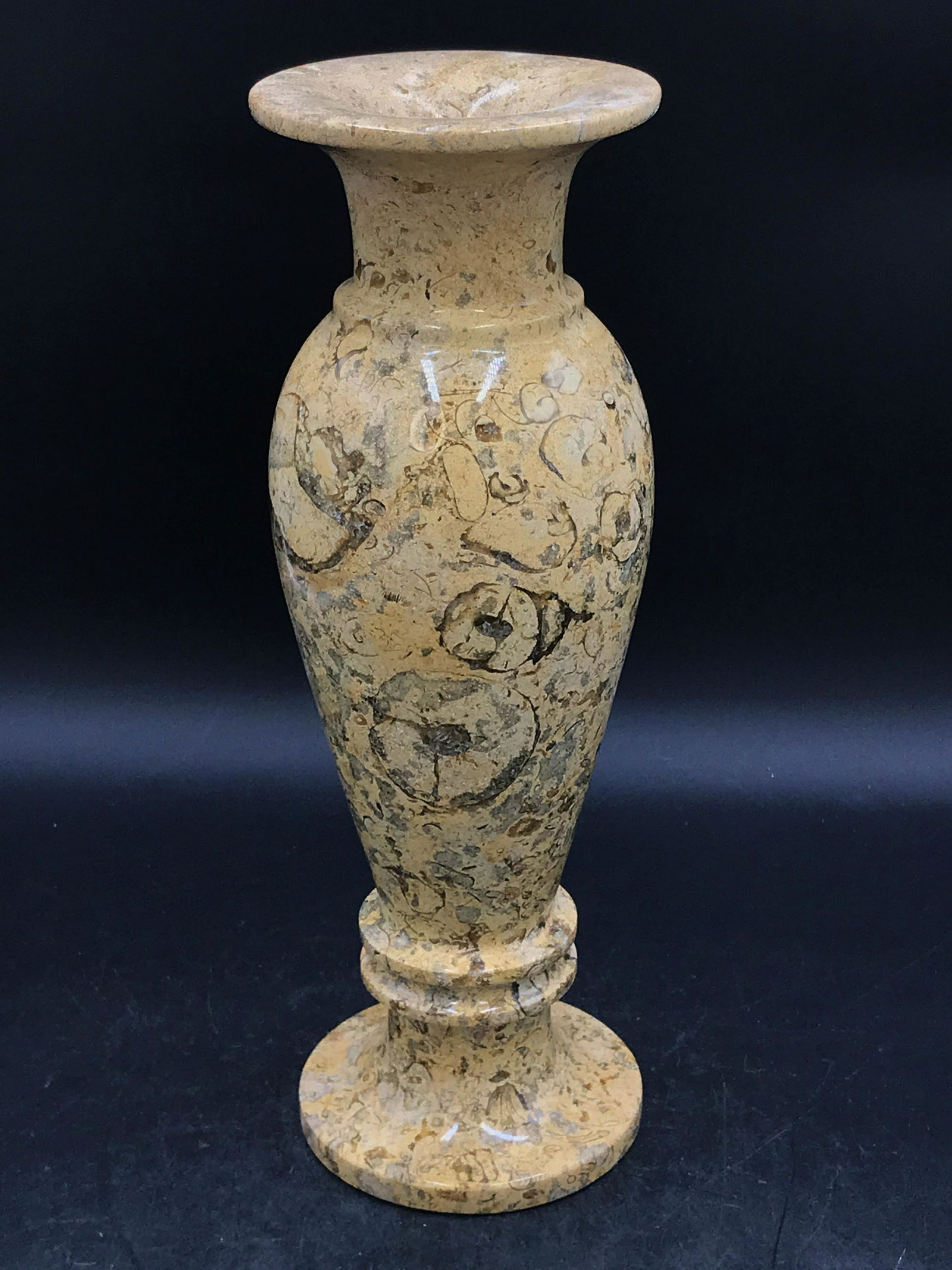 Fineal, Fossil, Rock, Natural, Decor, Collectible, Vase (1 of 4)