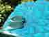 item-112200618=2