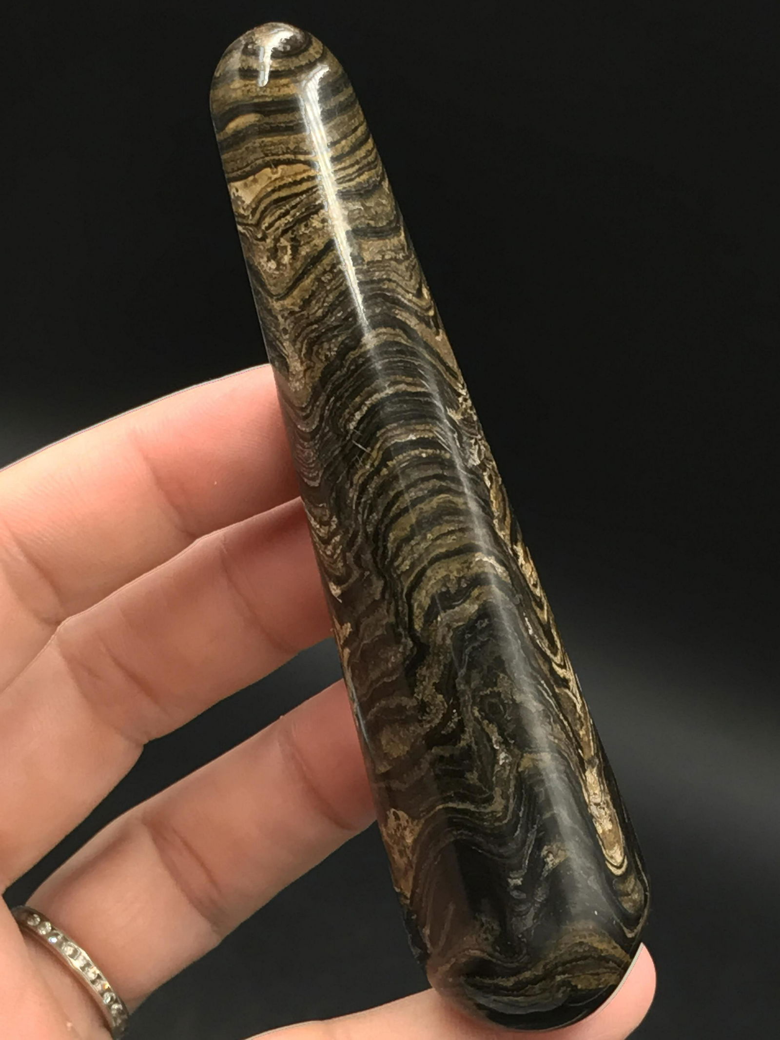 Stromatolite, Fossil, Rock, Natural, Decor,: Fossil Algae Wand Stromatolite 1.7 B.Y.O. Bolivia