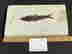 item-114858675=4