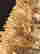 item-114858685=3