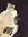 item-114858688=2