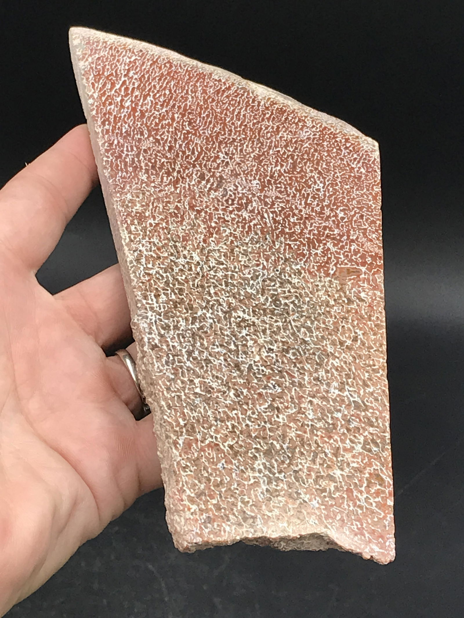 Dinosaur, Fossil, Natural, Collectible, Specimen, Bone,: [Rare] Red Dinosaur Bone Slab Cretaceous ~ 100 M.Y.O. Morocco 8oz