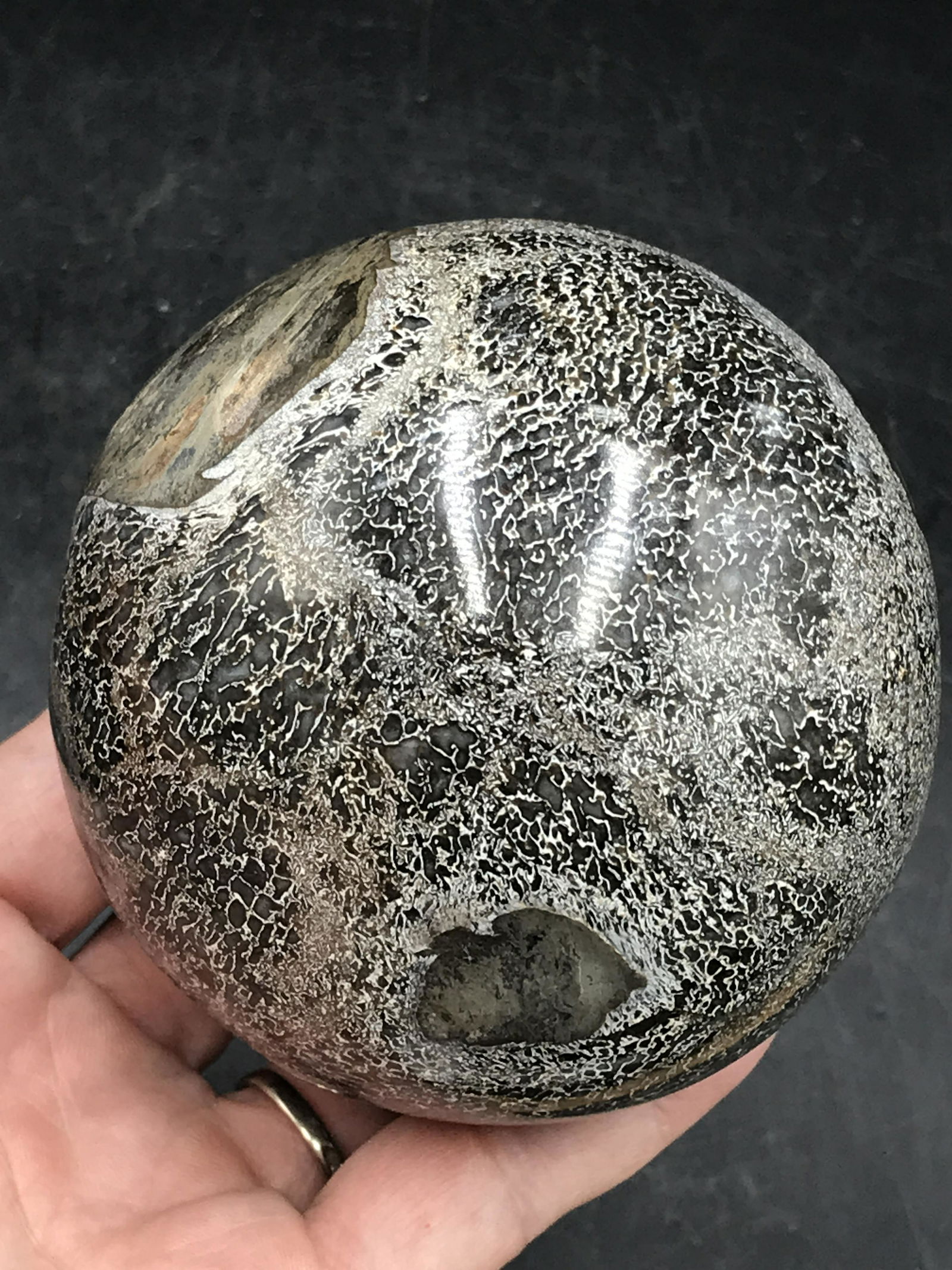 Dinosaur, Fossil, Natural, Collectible, Specimen, Bone,: Fossil Dinosaur Bone Orb Cretaceous Morocco 3.5"