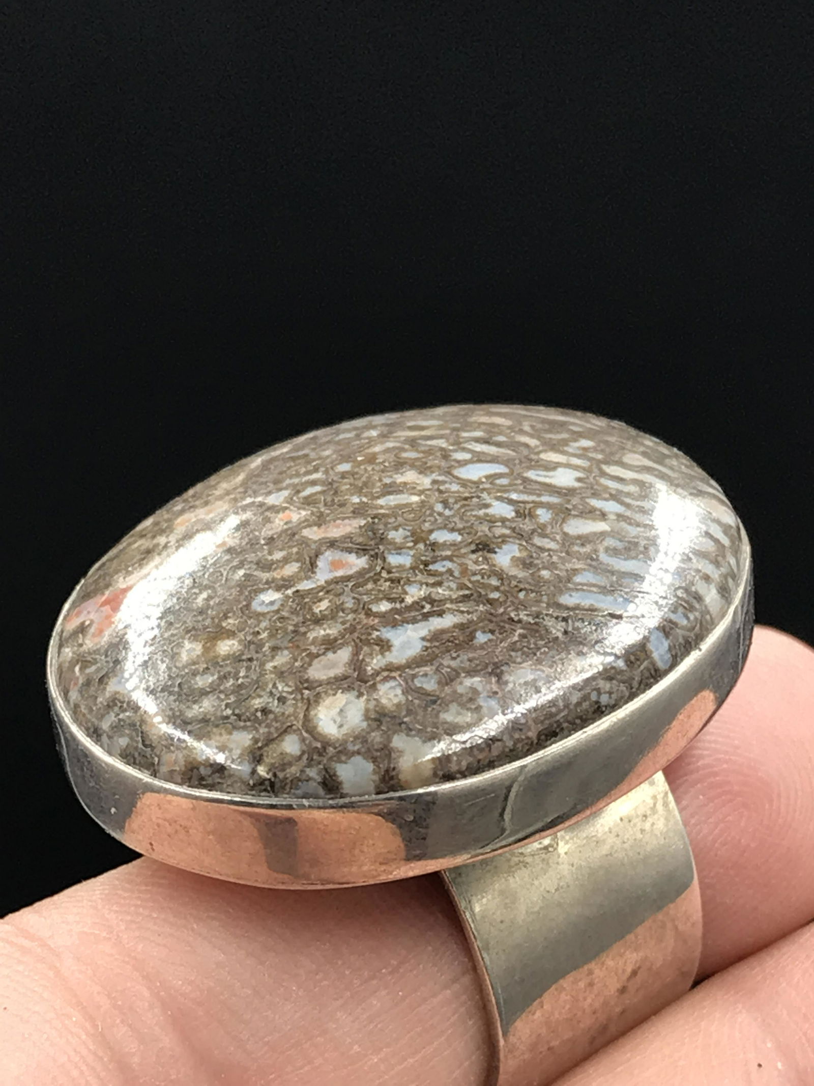 Dinosaur, Fossil, Natural, Collectible, Specimen, Bone,: Fossil Dinosaur Bone Ring Utah .923 Sterling Silver [Size 10]