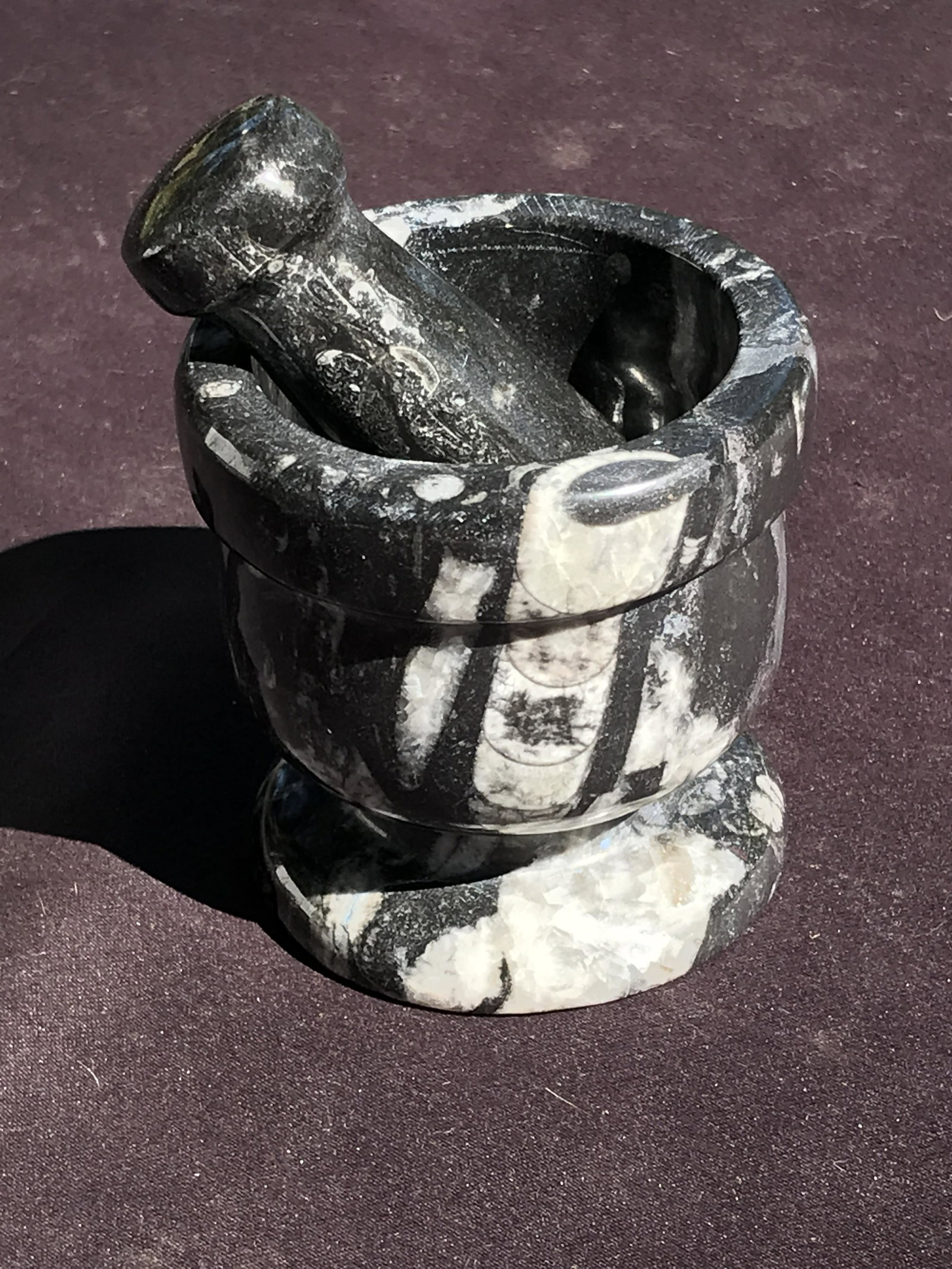 Orthoceras, Fossil, Rock, Natural, Decor, Collectible,: Fossil Orthoceras Mortar and Pestle Devonian ~ Morocco 1lb 6oz