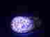 item-114914315=2