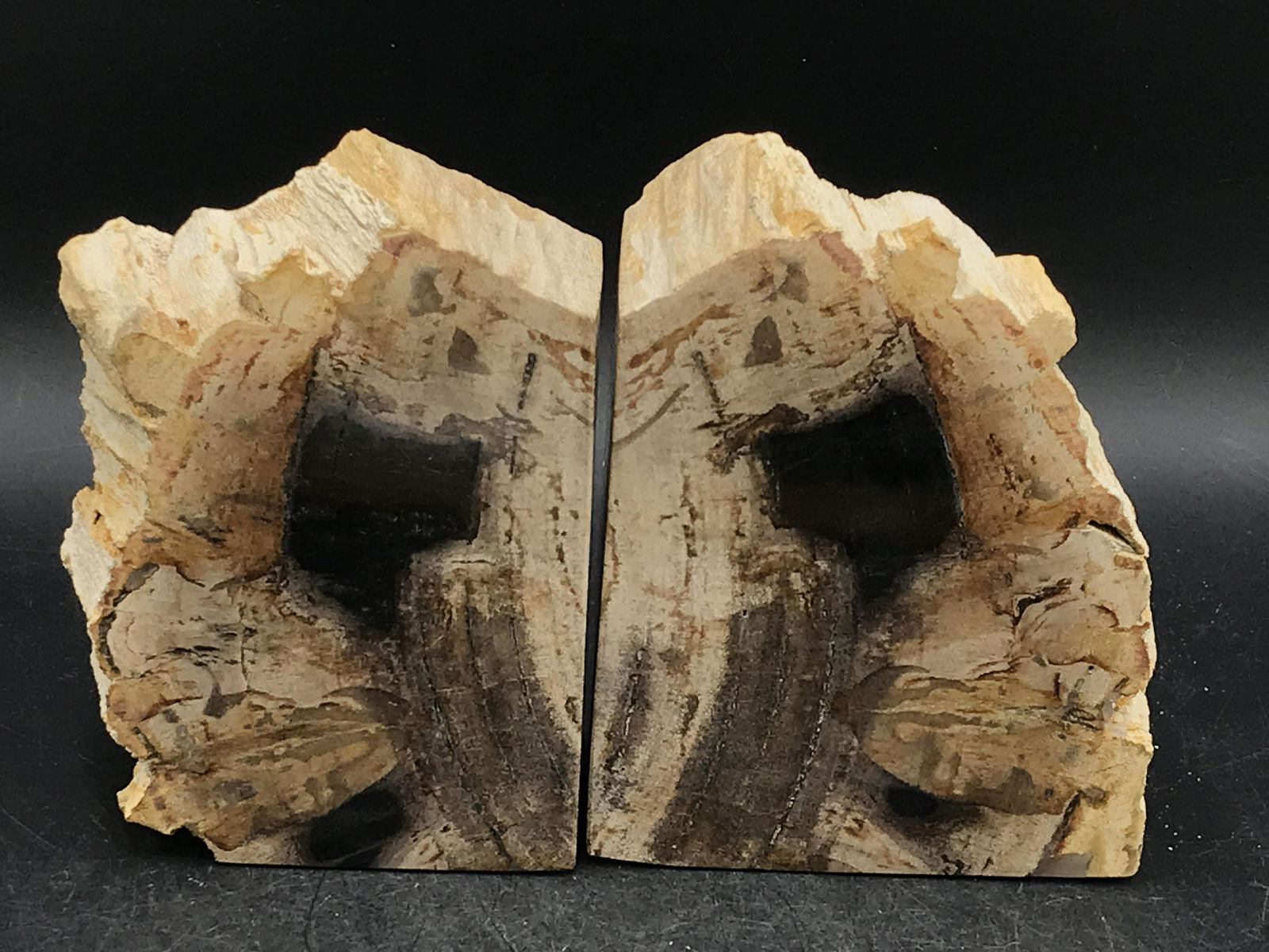 Petrified Wood, Fossil, Rock, Natural, Decor,: Petrified Wood Book Ends Indonesia