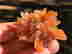 item-114914424=3