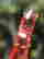 item-114914441=2