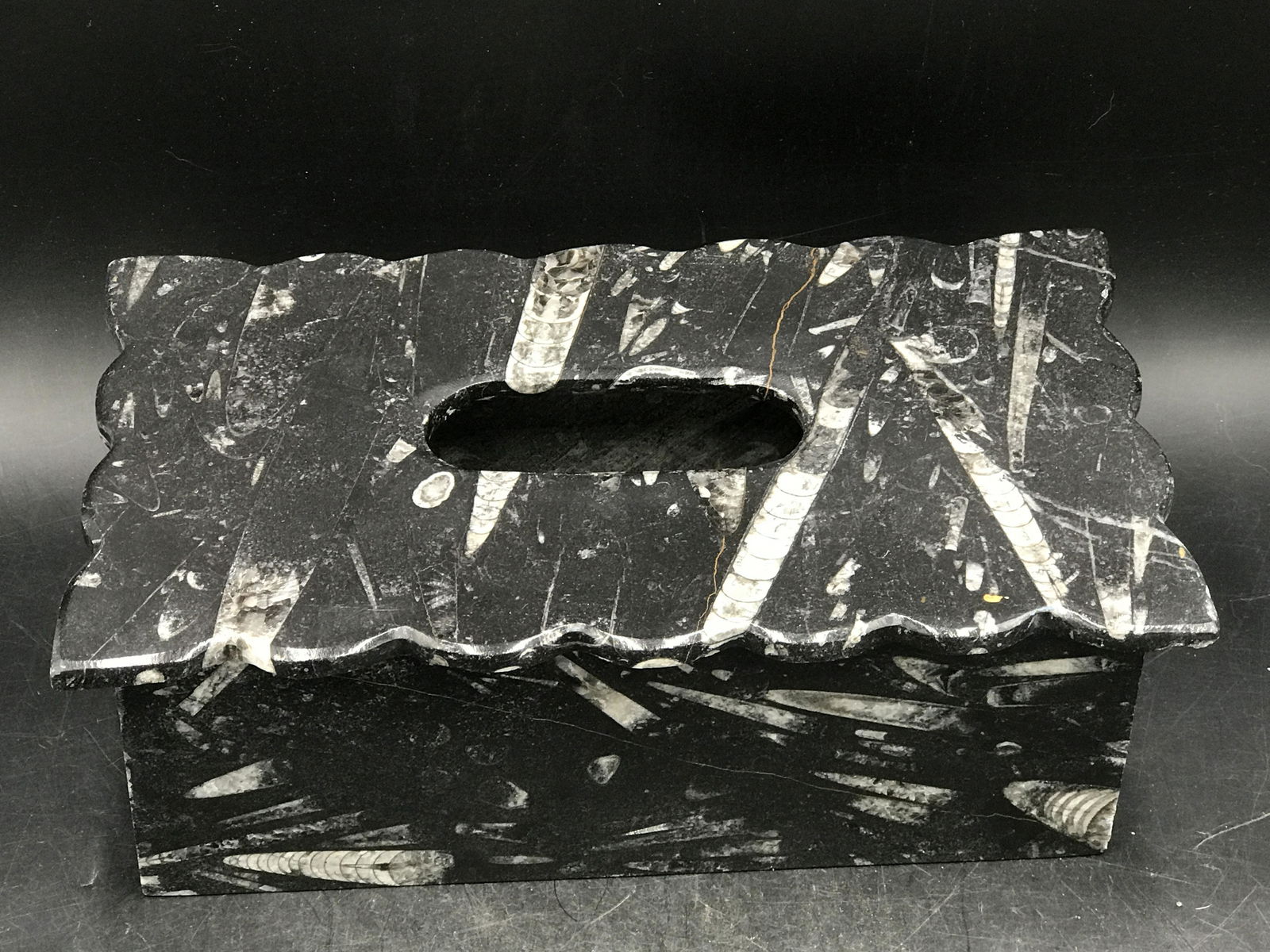 Orthoceras, Fossil, Rock, Natural, Decor, Collectible, (1 of 4)