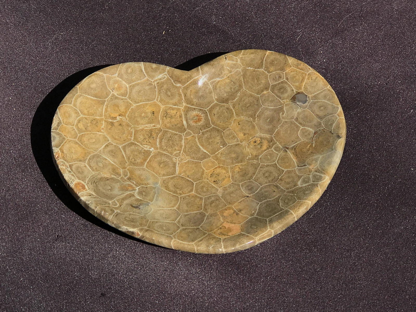 Coral, Fossil, Rock, Natural, Decor, Collectible, Dish (1 of 4)