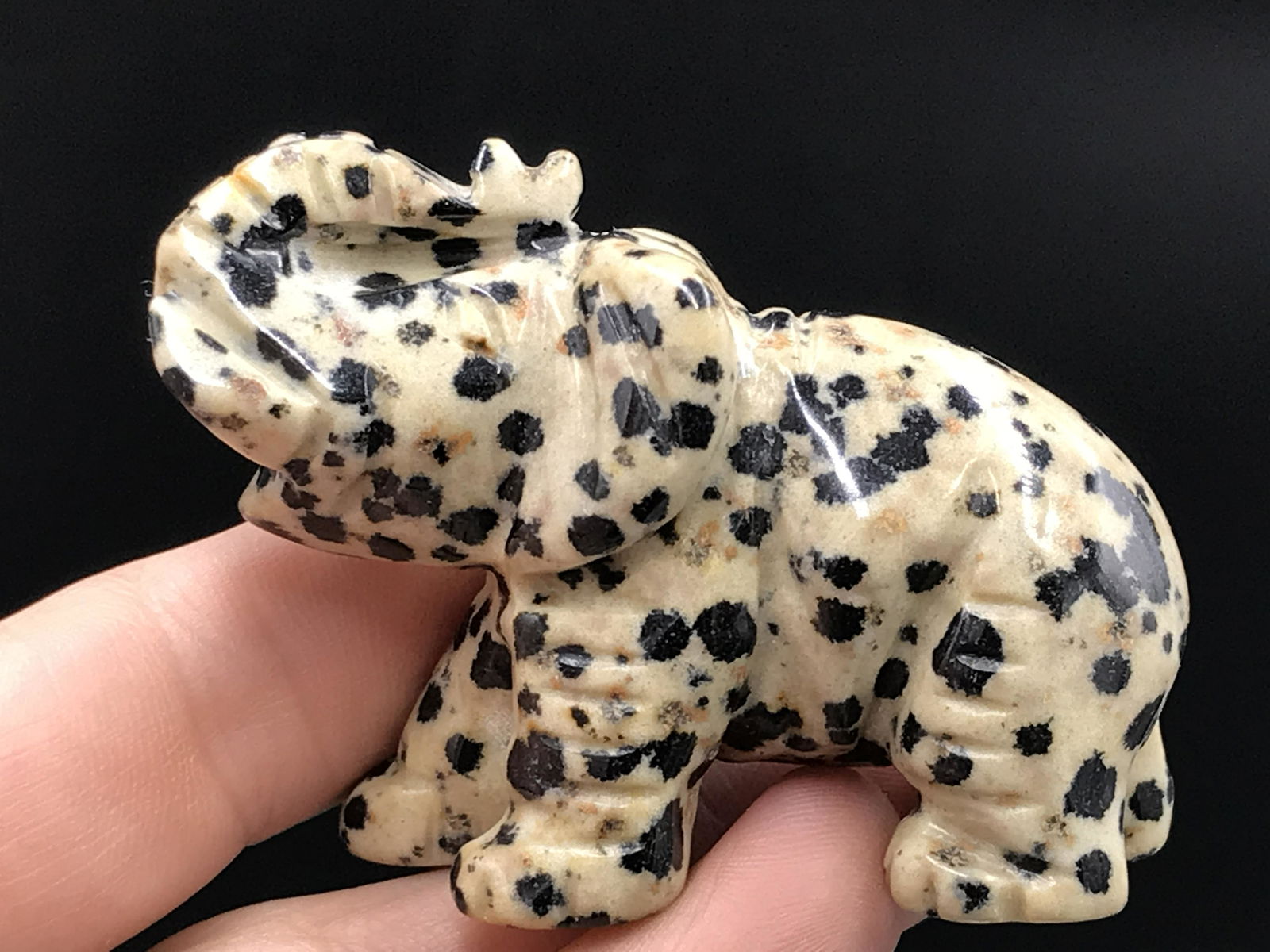 Rock, Crystal, Natural, Collectible, Carving, Animal,: Dalmatian Jasper Elephant