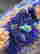 item-114914666=6