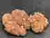 item-118390043=3