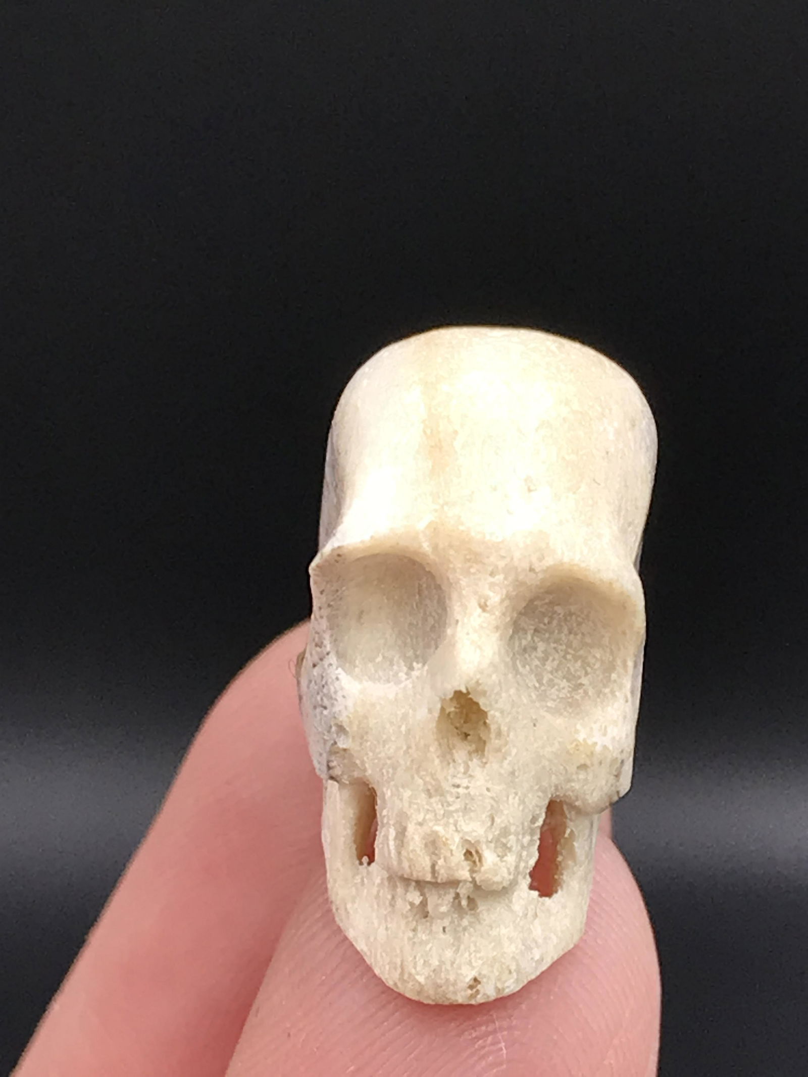 Rock, Crystal, Natural, Collectible, Carving, Skull: Skull Carving Fossil Bone Alaska .75"