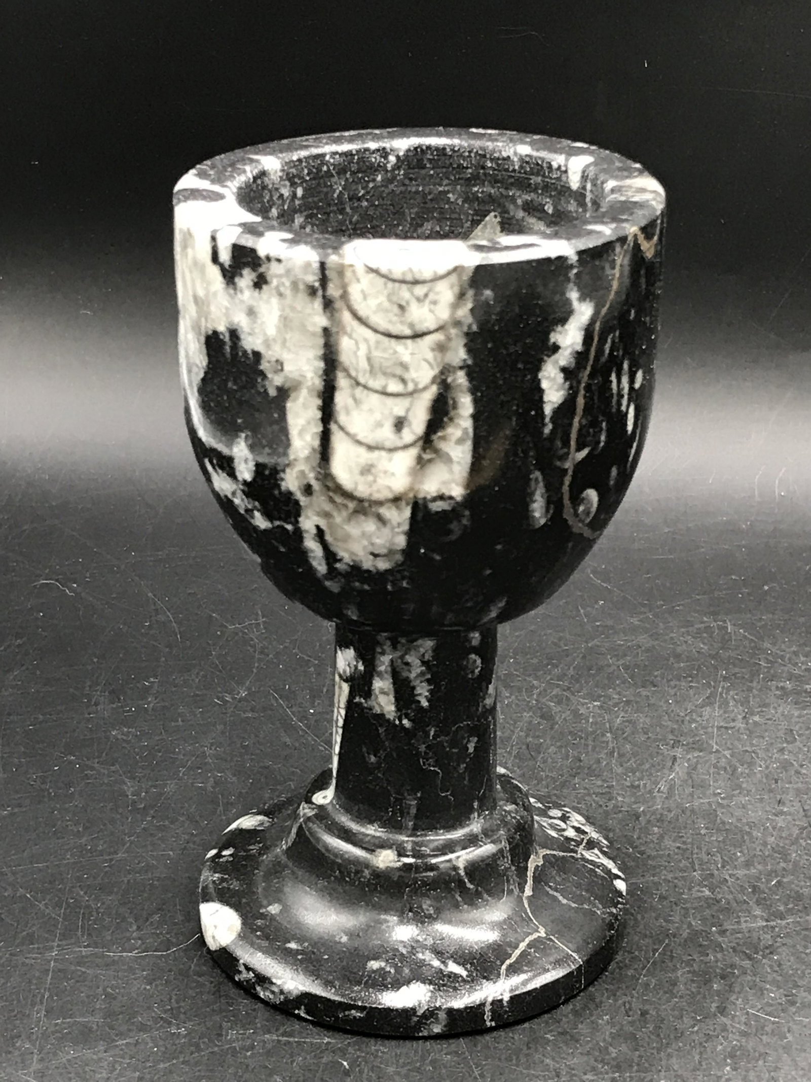 Orthoceras, Fossil, Rock, Natural, Decor, Collectible,: Orthoceras Marble Chalice Morocco 1lb 12oz