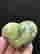 item-120702474=2