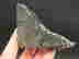 item-120702480=2