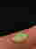 item-120702517=3