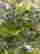 item-120702520=2