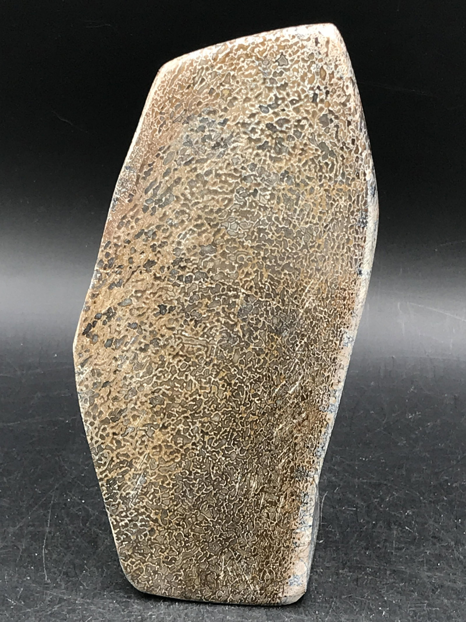 Dinosaur, Fossil, Natural, Collectible, Specimen, Bone: Dinosaur Bone Carving Gretaceous ~ Morocco 1lb 5oz