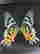item-122753006=3