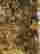item-122761508=2