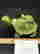 item-122761511=4