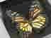 item-122761622=2