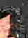 item-126858015=3