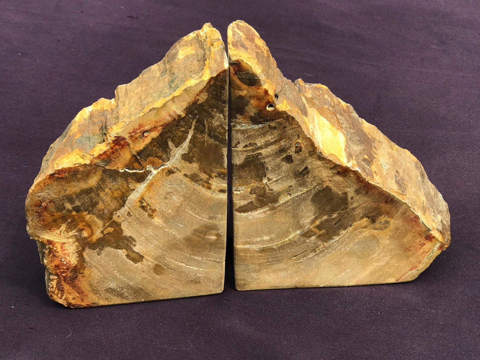 Petrified Wood, Fossil, Rock, Natural, Decor, Collectible, Bookends (1 of 4)