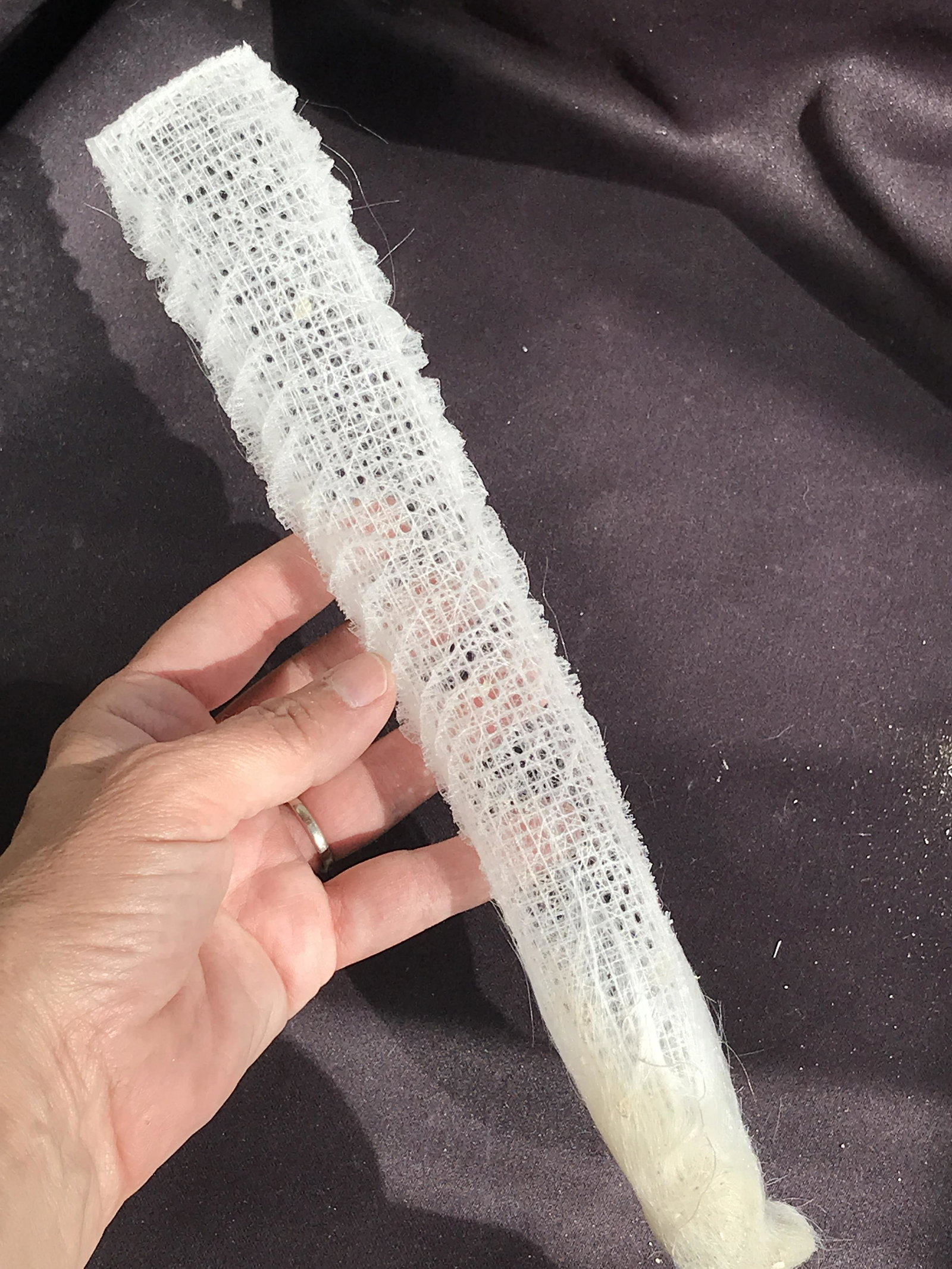 Sponge, Ocean, Beach, Natural, Decor, Collectible, Specimen (1 of 4)