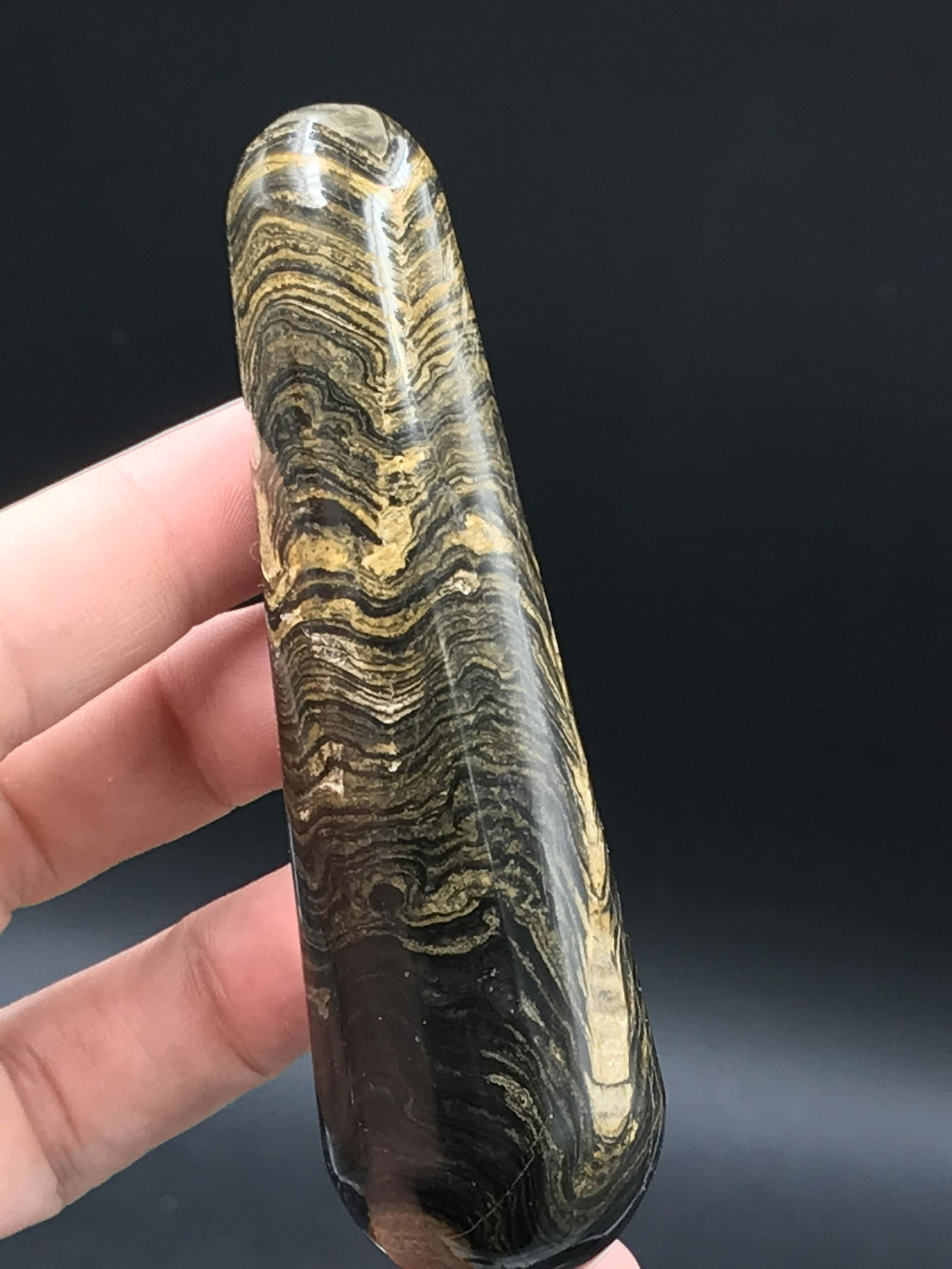 Rock, Crystal, Natural, Decor, Collectible,: Stromatolite (Fossil Algae) Wand