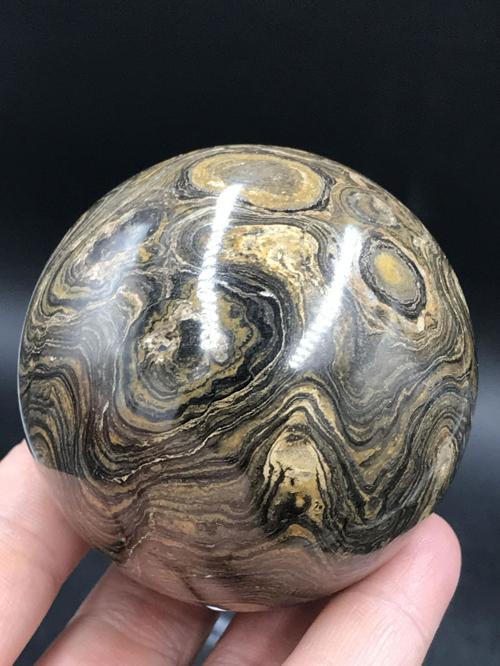 Rock, Crystal, Natural, Decor, Collectible, Carving, Sphere: Fossil Algae Stromatolite Sphere 1.7 B.Y.O Bolivia
