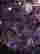 item-129071048=3