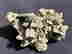 item-129071144=2