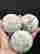 item-129071301=2