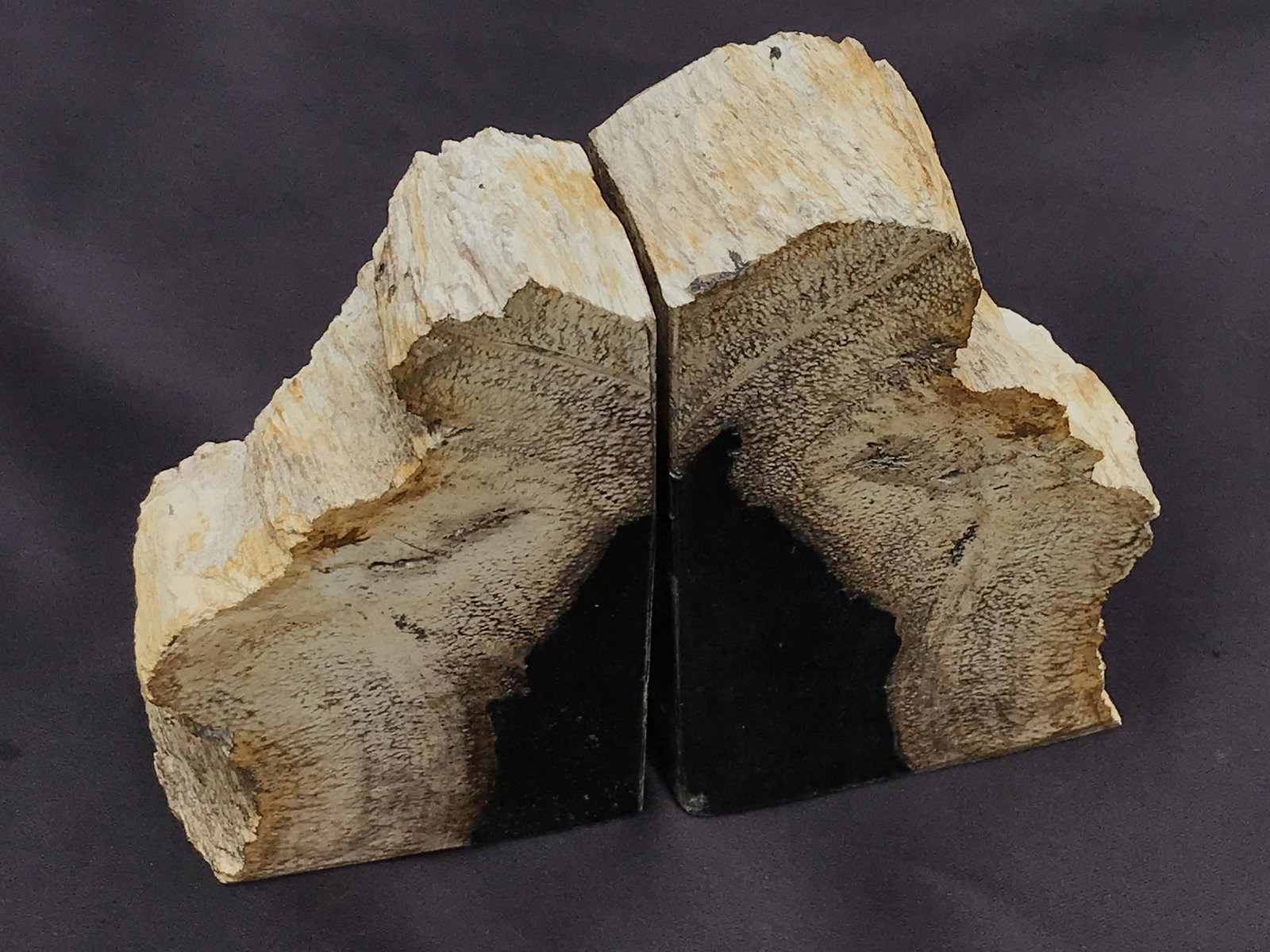 Petrified Wood, Fossil, Rock, Natural, Decor, Collectible, Bookends (1 of 4)