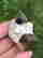 item-129071470=3
