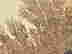 item-129071485=2