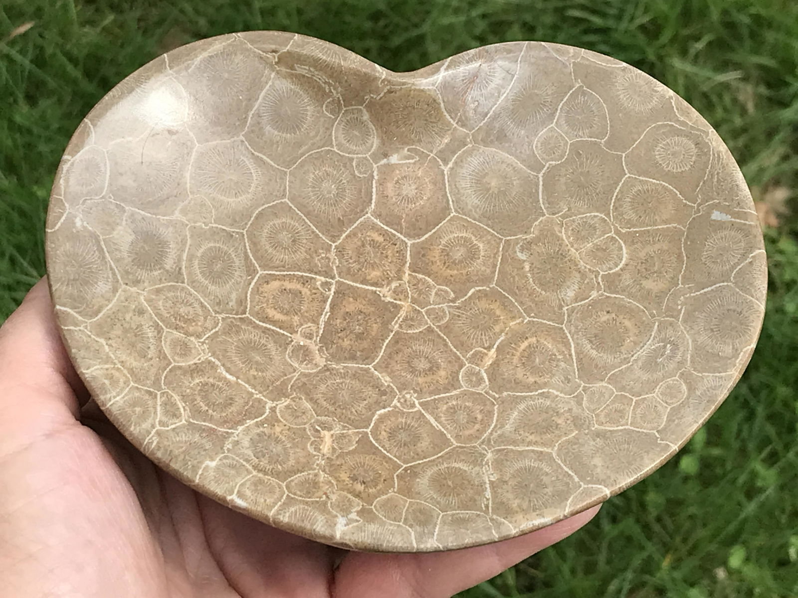Rock, Fossil, Natural, Decor, Collectible, Carving, Heart, Dish (1 of 4)