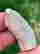 item-129071563=2