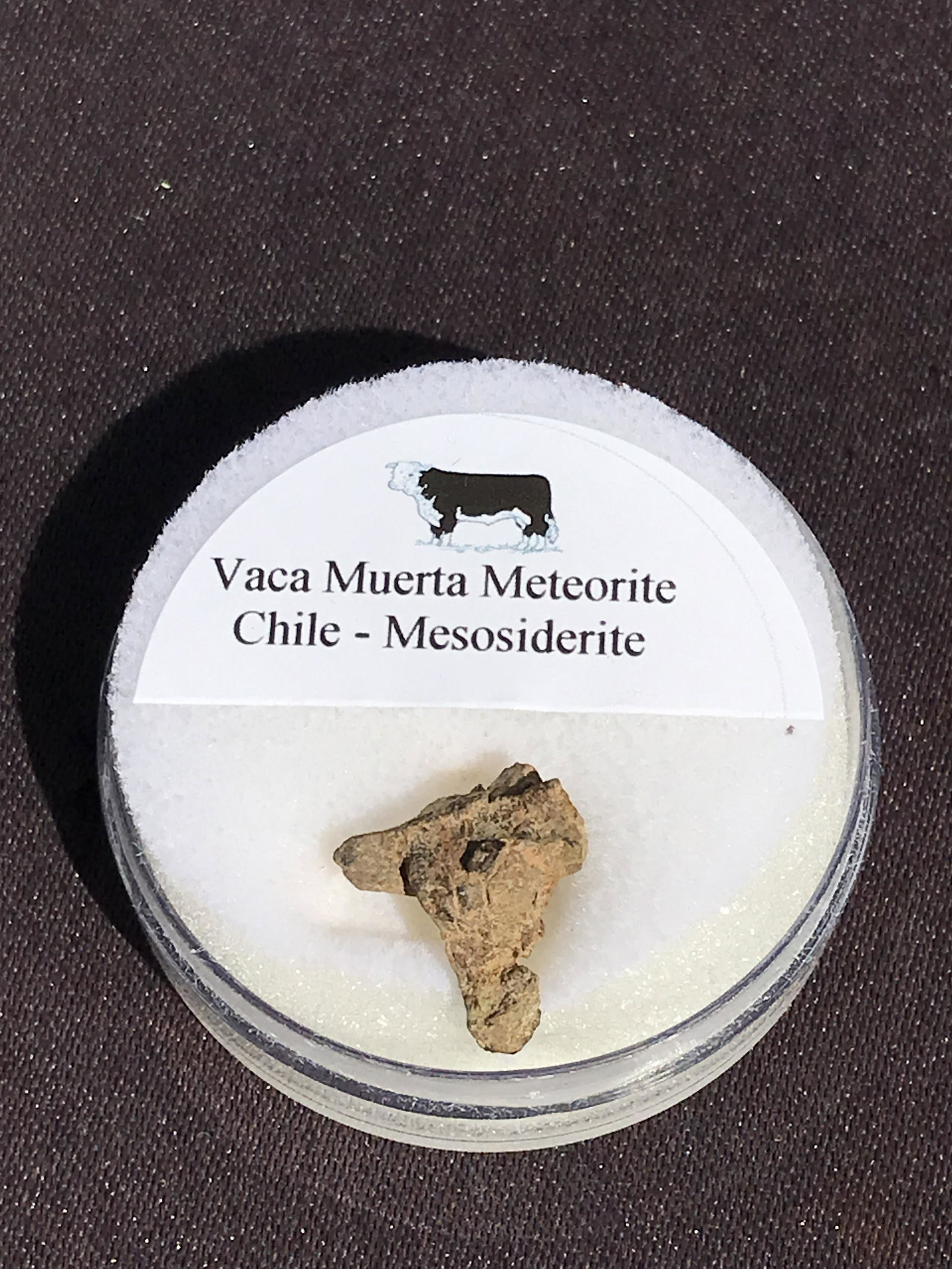 Meteorite, Rock, Crystal, Natural, Collectible, Outerspace: Meteorite Vaca Muerta Chile 1.3g