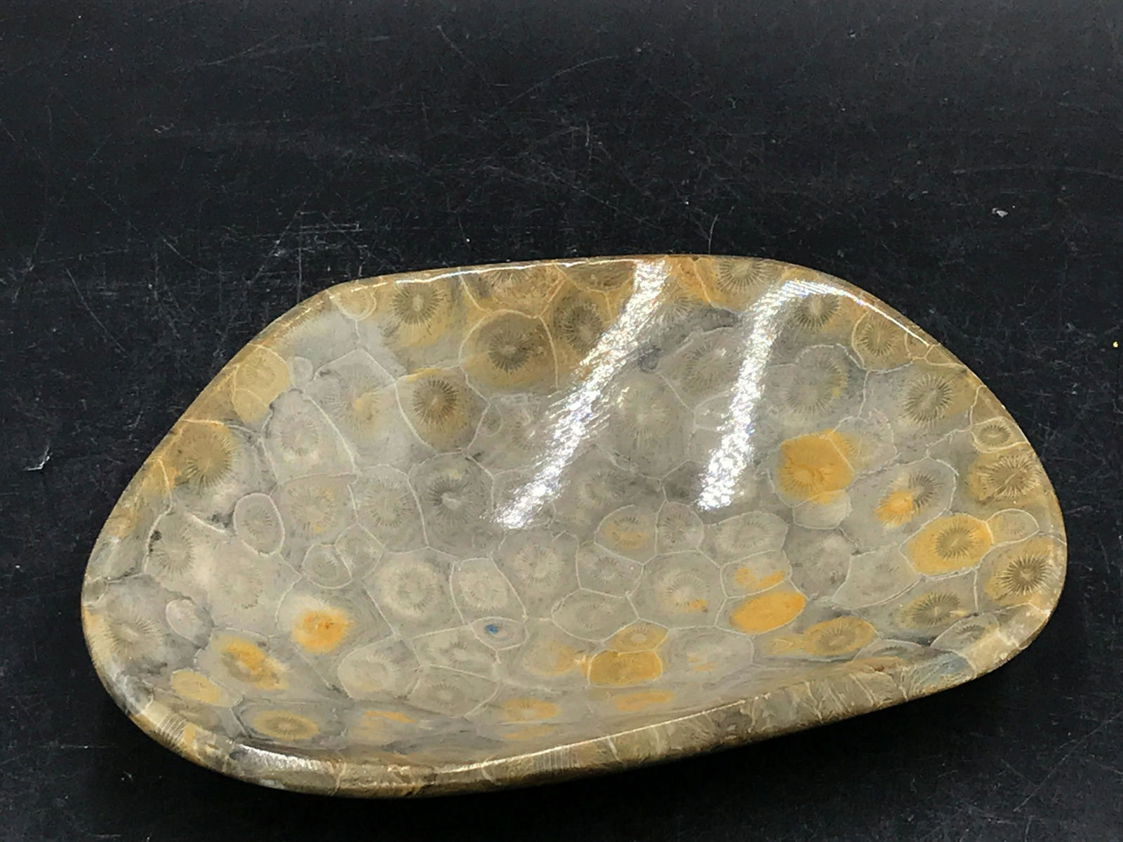 Rock, Crystal, Natural, Decor, Collectible,: Fossil Hexagenera Coral Bowl Morocco 6.5 x 4.5"
