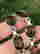 item-129076707=2