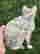 item-129076718=3