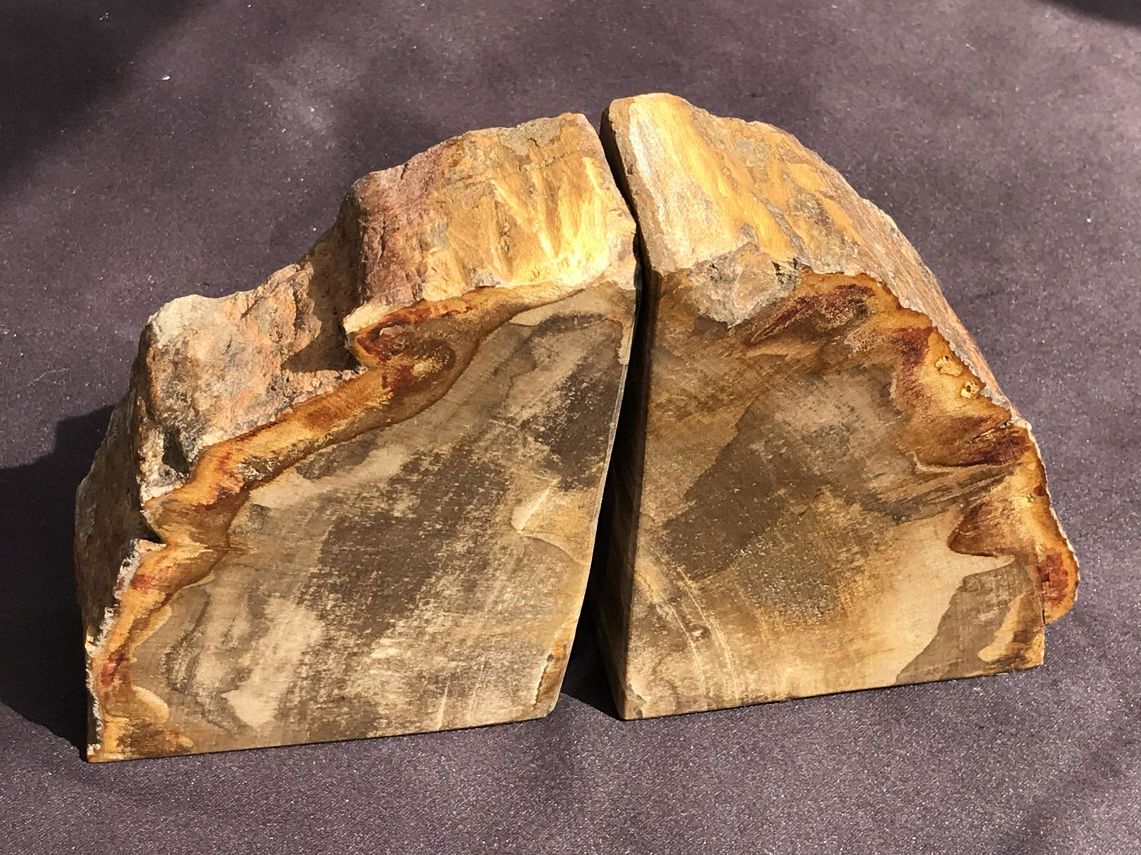 Petrified Wood, Fossil, Rock, Natural, Decor, Collectible, Bookends: Bookends Petrified Wood 6lb