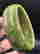 item-129076809=3