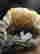 item-129076974=2